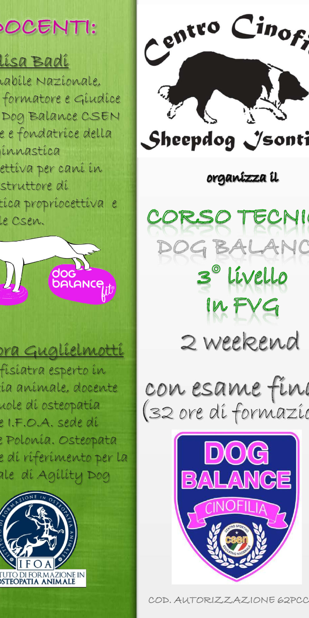 Locandina dog balance 3