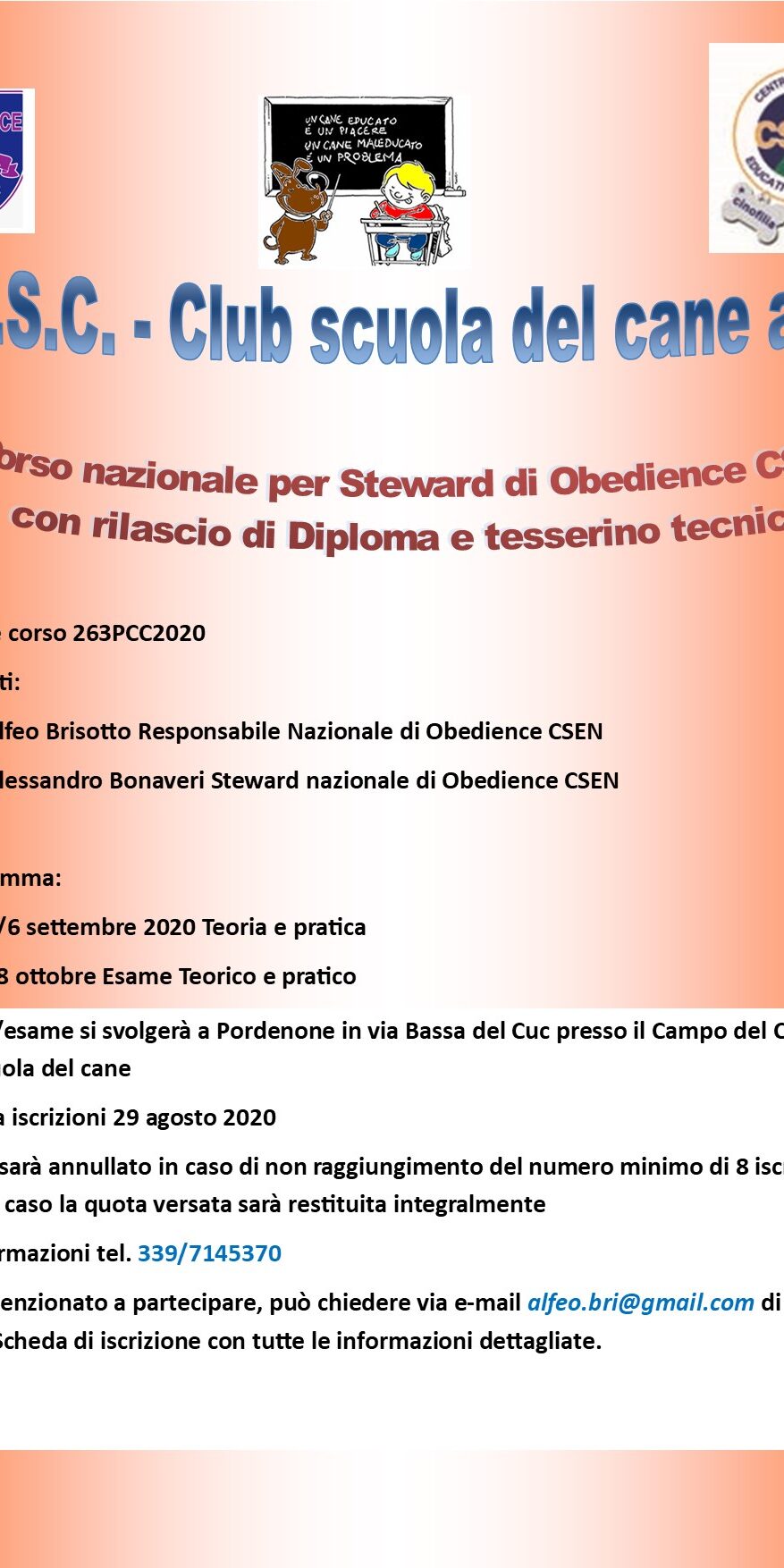 Locandina Steward