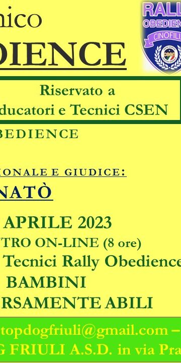 Rally 1° 2°