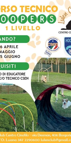 HOOPERS 1 livello