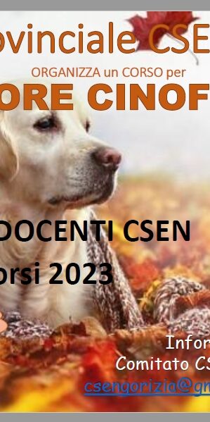 Locandina 2023