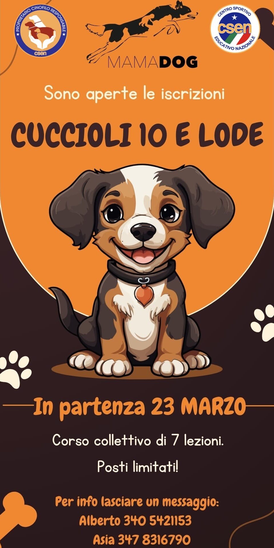 Cuccioli 10 e lode