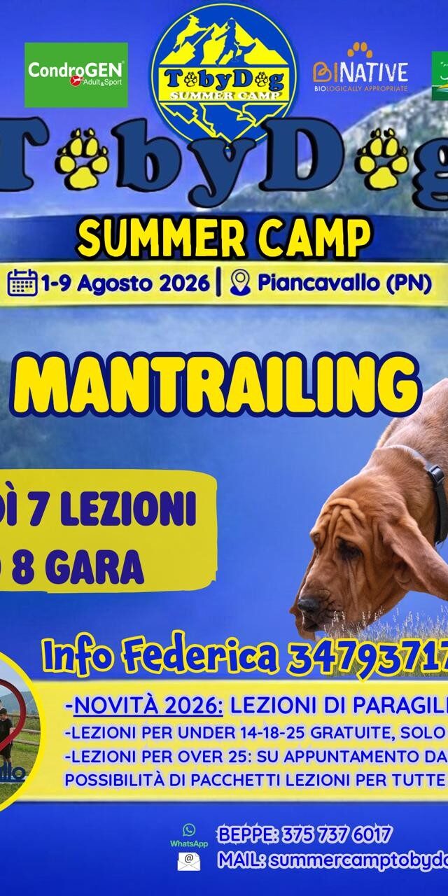 Sumer camp mantrailing sportivo